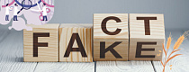 Wooden blocks with letters forming words "Fact" and "Fake" on neutral background